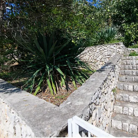 Seafront House Casa Flora